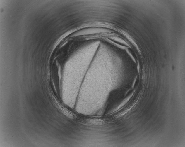 X0000086100837200704091350