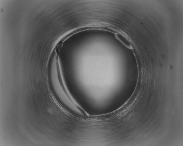X0000086100838200704091350