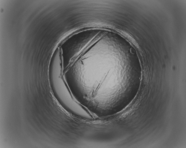 X0000086100839200704091350