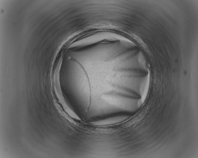 X0000086100840200704091350