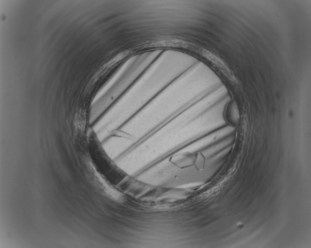 X0000086100841200704091350