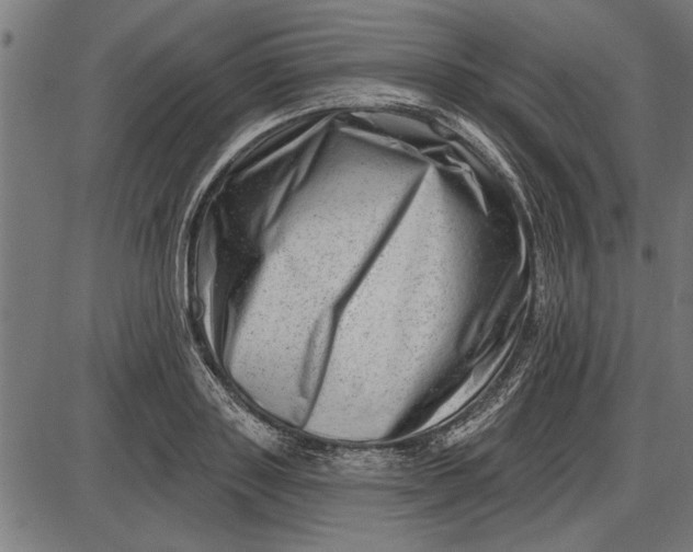 X0000086100843200704091350