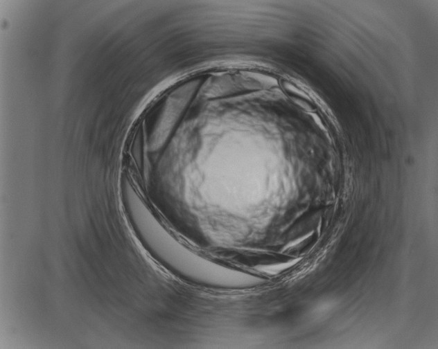 X0000086100853200704091350