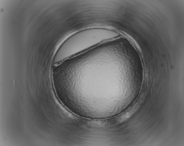 X0000086100855200704091350