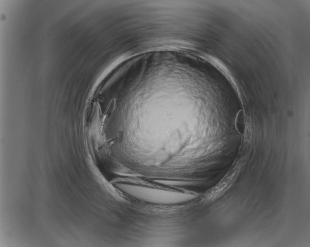 X0000086100859200704091350