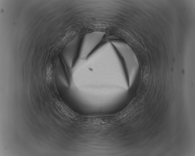 X0000086100866200704091350