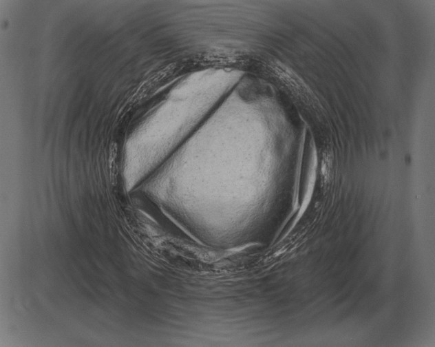 X0000086100867200704091350