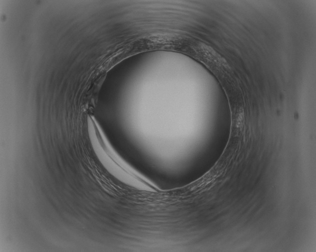 X0000086100868200704091350