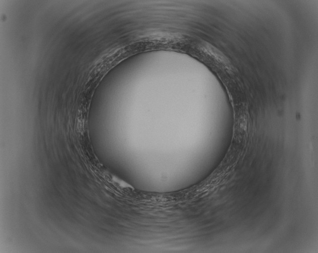 X0000086100869200704091350