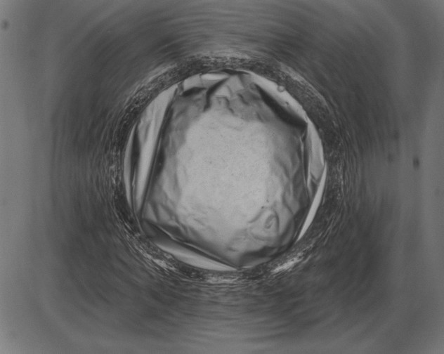 X0000086100870200704091350