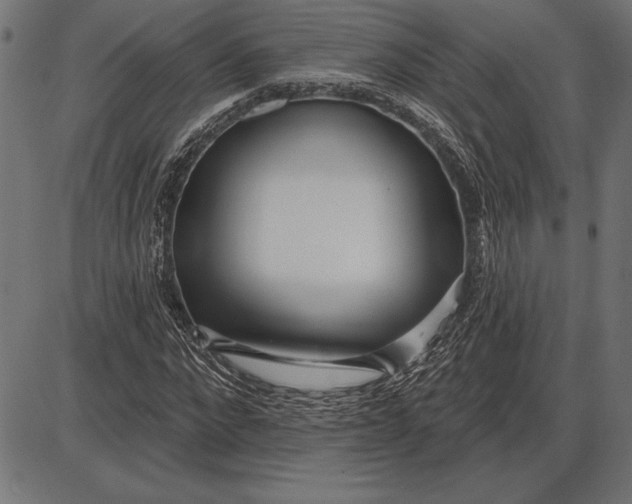 X0000086100872200704091350