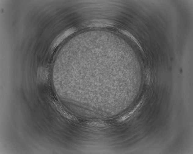 X0000086100874200704091350