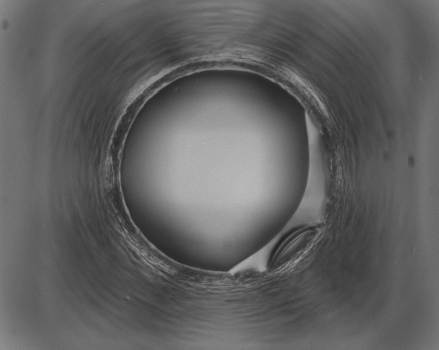 X0000086100876200704091350