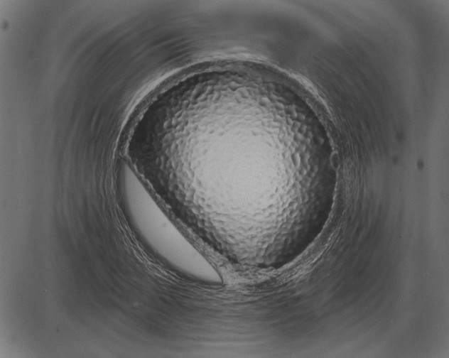 X0000086100879200704091349