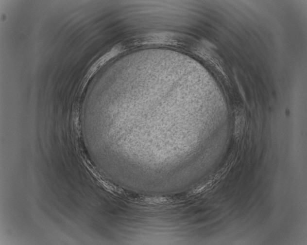 X0000086100882200704091349
