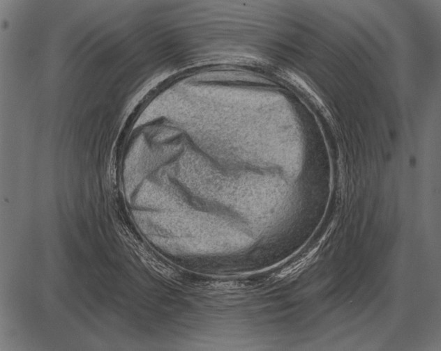 X0000086100883200704091349