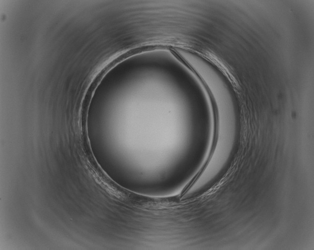 X0000086100884200704091349