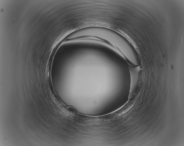 X0000086100885200704091349
