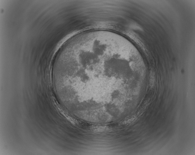 X0000086100886200704091349