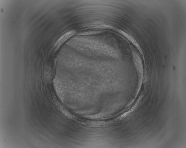 X0000086100889200704091349