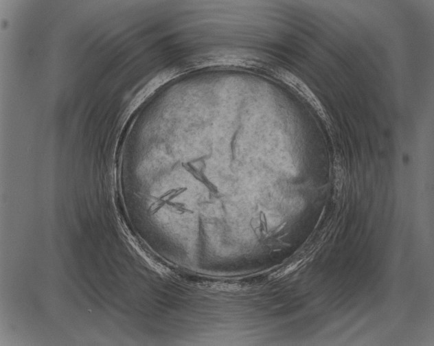 X0000086100890200704091349