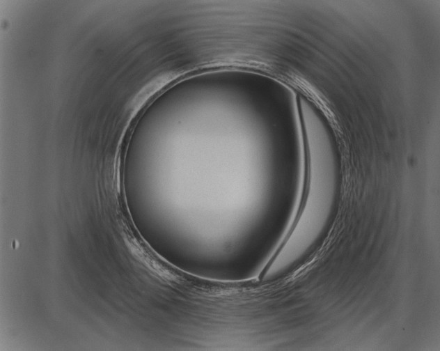 X0000086100892200704091349