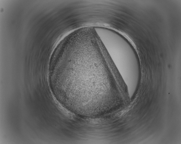 X0000086100895200704091349
