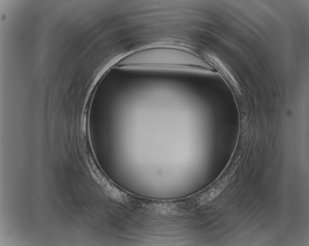 X0000086100900200704091349