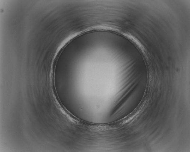 X0000086100902200704091349