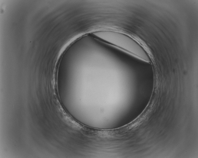 X0000086100904200704091349