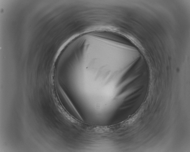 X0000086100912200704091349
