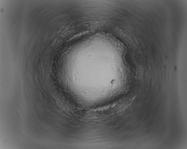 X0000086100913200704091348