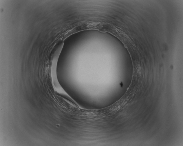 X0000086100914200704091348