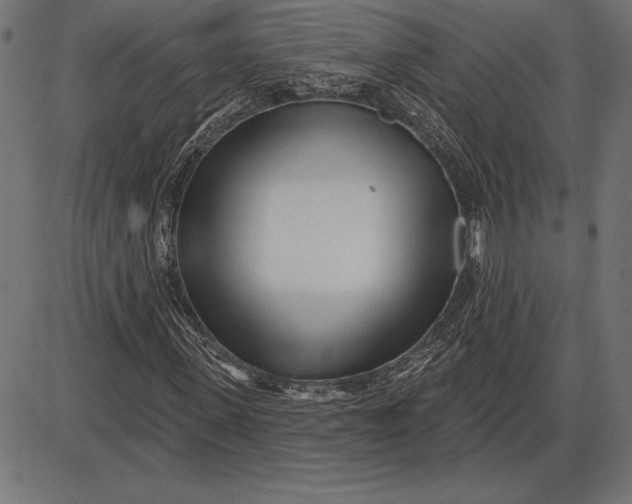 X0000086100915200704091348