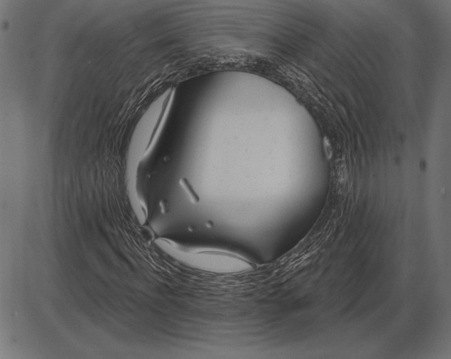 X0000086100916200704091348