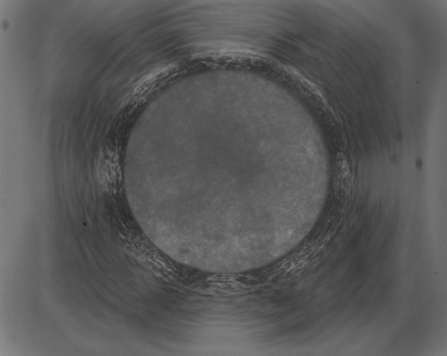 X0000086100918200704091348