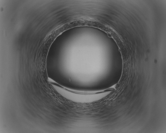 X0000086100919200704091348