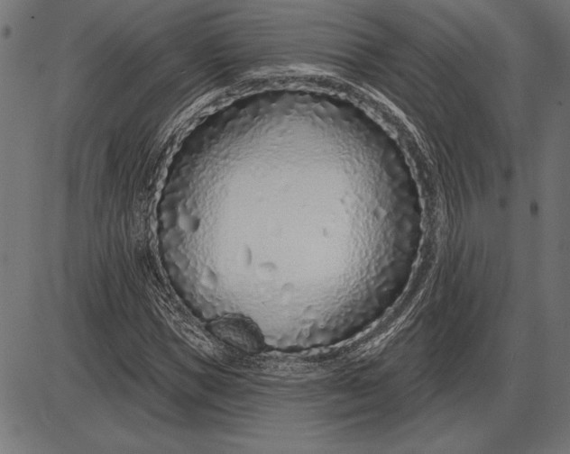 X0000086100921200704091348