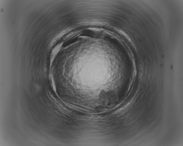 X0000086100922200704091348