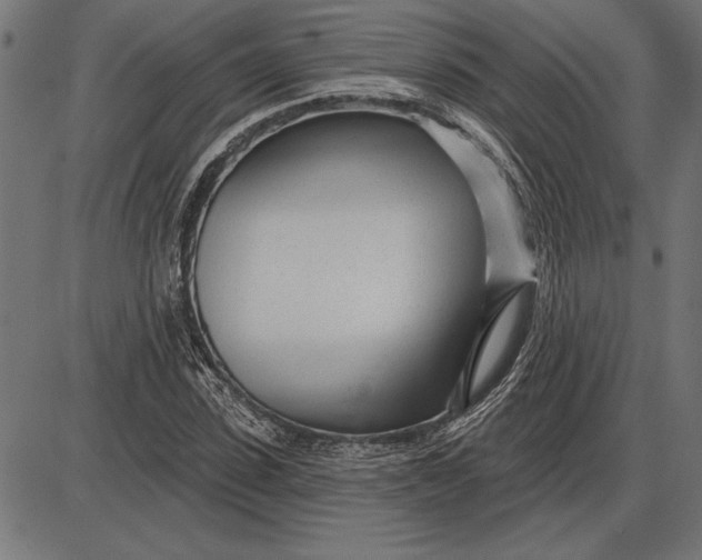 X0000086100923200704091348