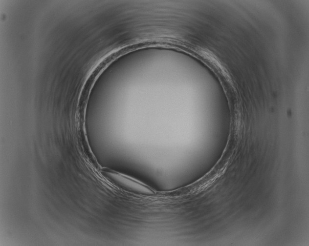 X0000086100924200704091348