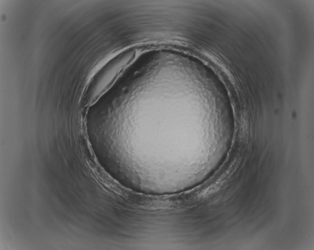 X0000086100925200704091348