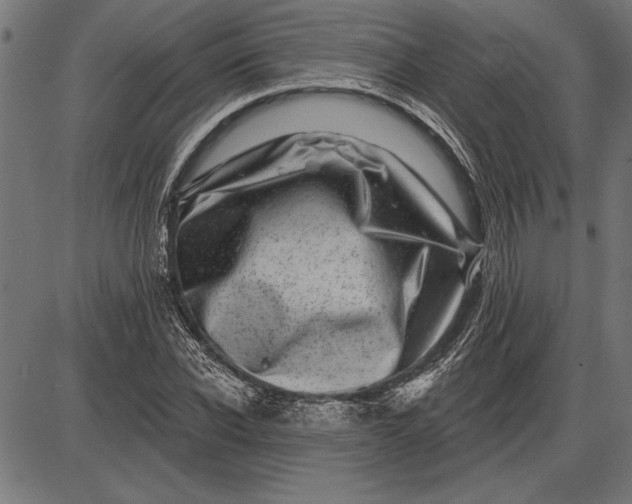 X0000086100926200704091348