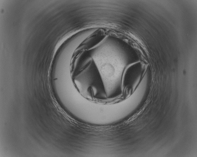 X0000086100928200704091348