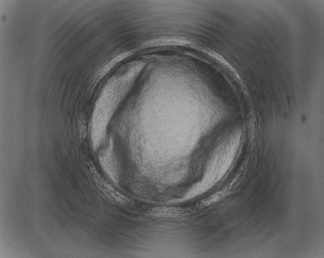 X0000086100929200704091348