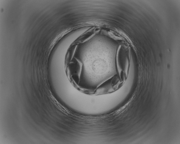 X0000086100930200704091348