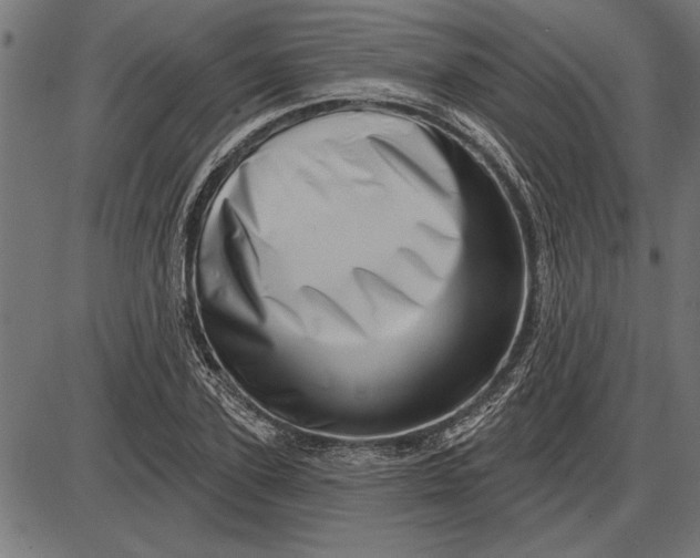 X0000086100931200704091348