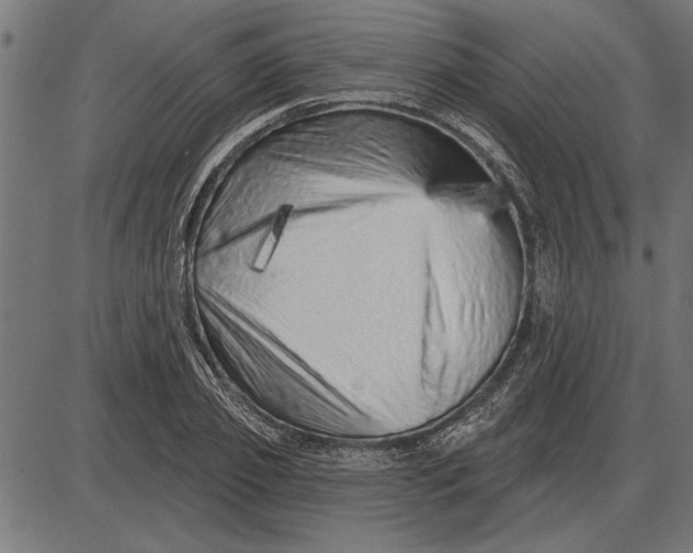 X0000086100933200704091348