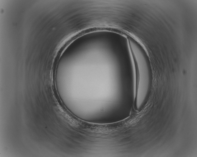 X0000086100935200704091348