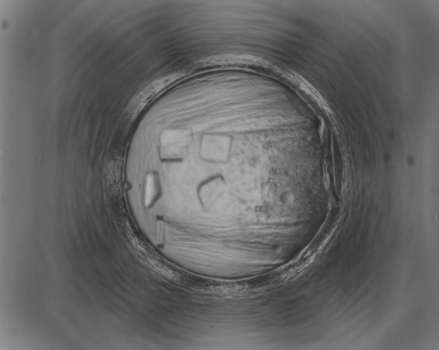 X0000086100937200704091349
